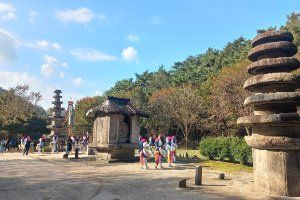 화순운주문화축제 풍경 사진