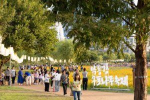 낙동강 구포나루 축제 풍경 사진
