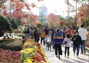 유성국화축제 풍경 사진