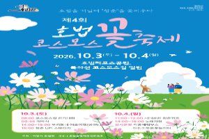 호법 코스모스 꽃축제 풍경 사진
