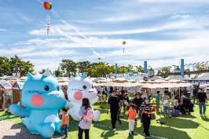 김제지평선축제 풍경 사진