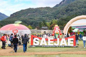 문경사과축제 풍경 사진