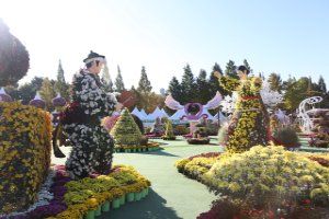 익산천만송이 국화축제 풍경 사진