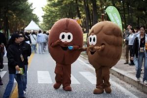 강릉커피축제 풍경 사진